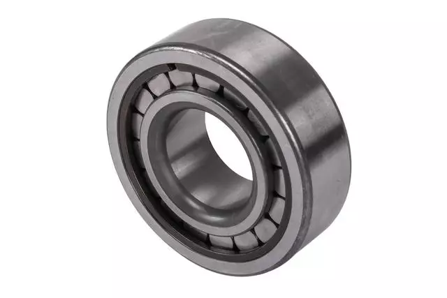 F Bearing - GM (98392582)