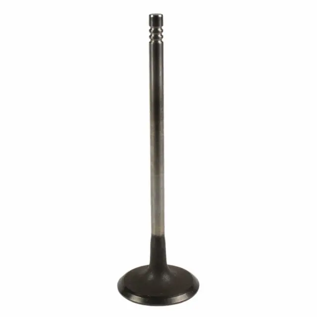 Intake Valve - Ford (BM5Z-6507-B)