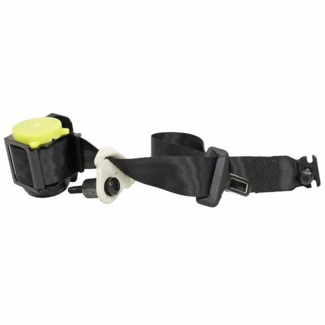 Outer Belt Assembly - Passenger Side (RH) - Ford (FT4Z-58611B68-AA)