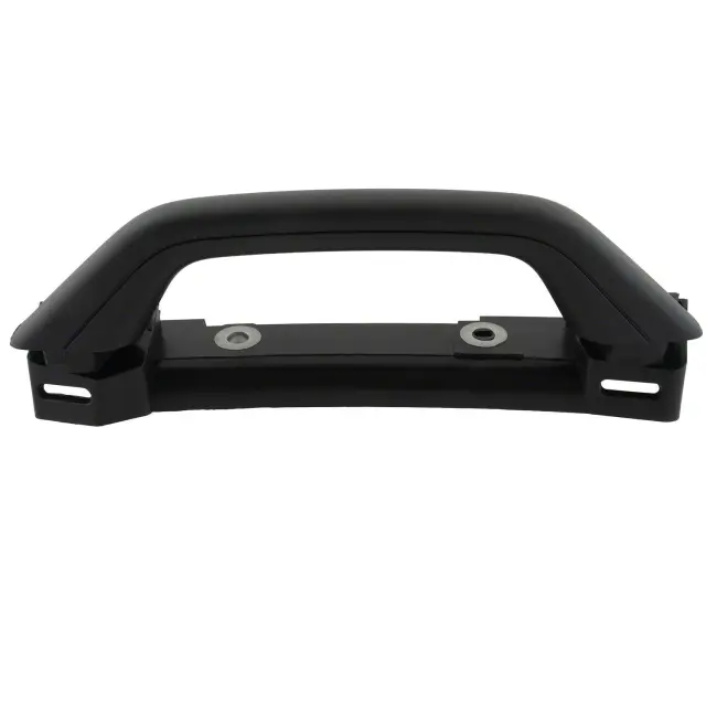 Interior Grab Bar - Ford (SL1Z-4031406-AD)