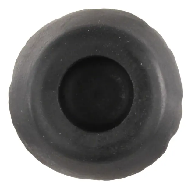 Plug Rubber - Ford (W720696-S300)