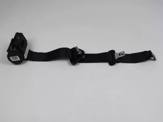 Outer Belt Assembly - Driver's Side (LH) - Mopar (XS71DX9AD)
