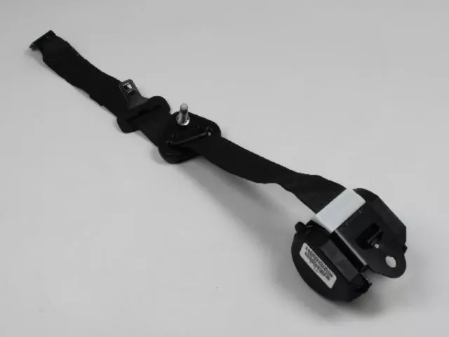 Outer Belt Assembly - Driver's Side (LH) - Mopar (XS71DX9AD) - view 2
