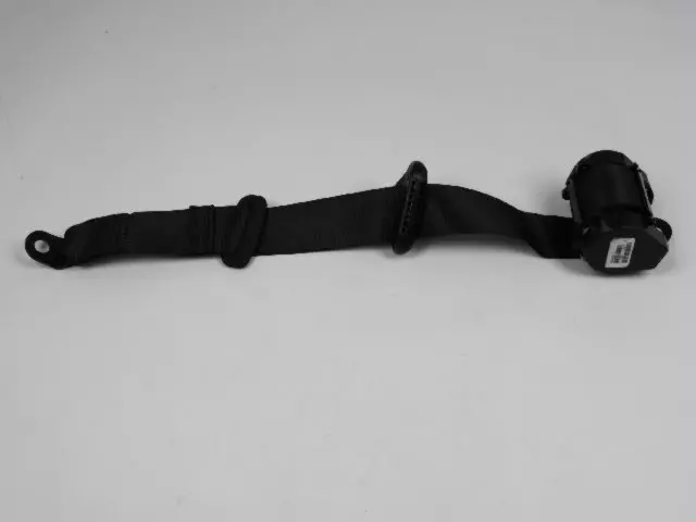 Outer Belt Assembly - Driver's Side (LH) - Mopar (XS71DX9AD) - view 3