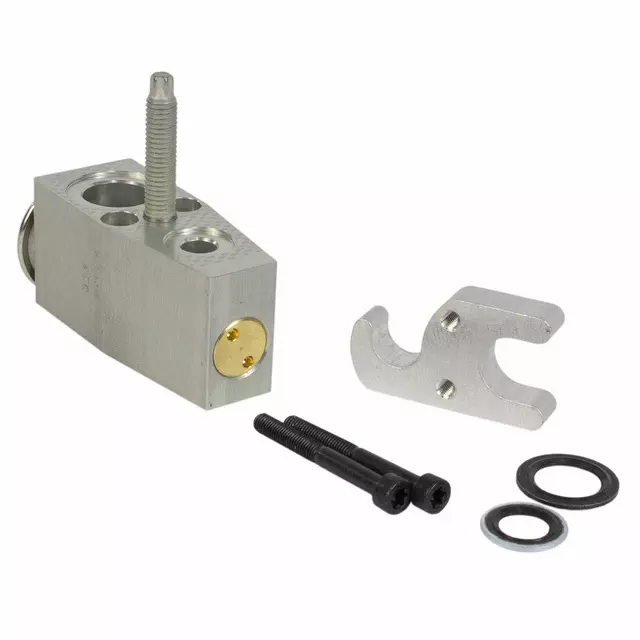 Expansion Valve - Ford (dv6z19849e)