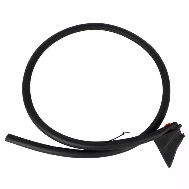 Weather-Strip On Body - Ford (fr3z7620709b)