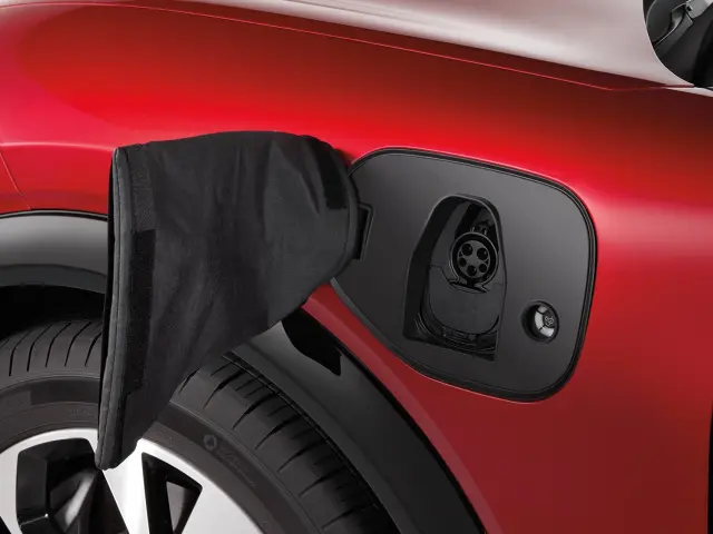 Charge Port Weather Kit - Ford (pk9z10d802a)
