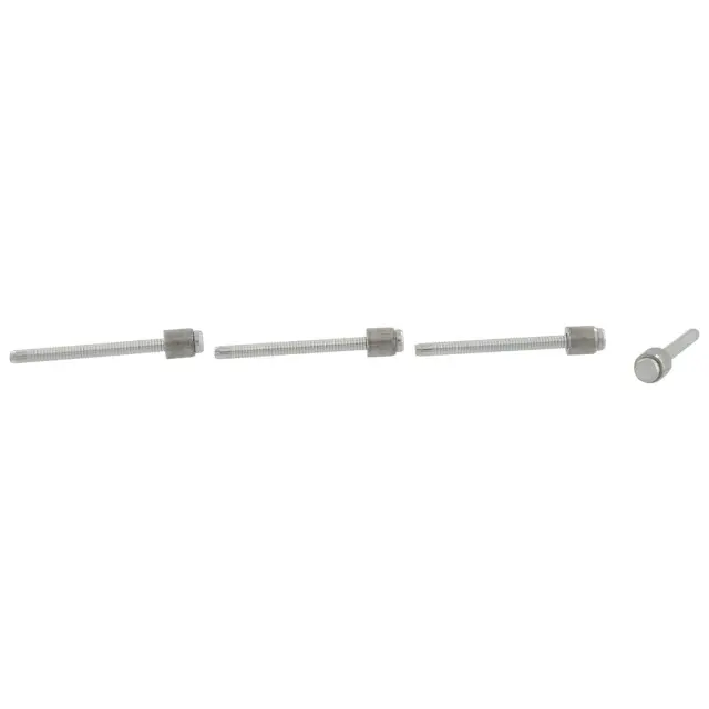 Rivet Blind - Ford (w710167s900)